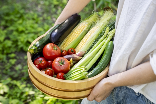 夏野菜